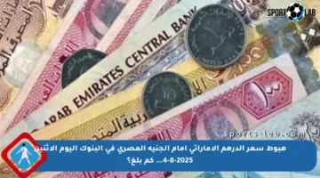 هبوط سعر الدرهم الإماراتي أمام الجنيه المصري في البنوك اليوم الاثنين 4-8-2025… كم بلغ؟
